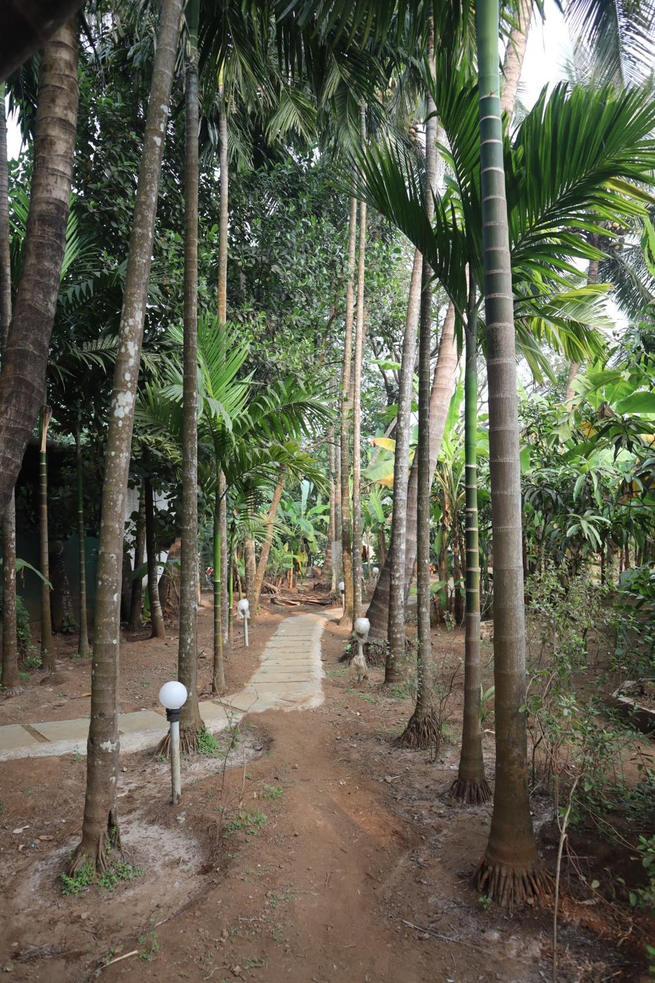 Gokul Cottage & Villa Revadanda Extérieur photo